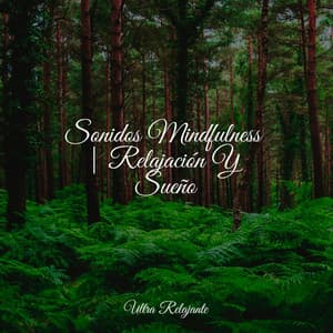 Sonidos Mindfulness | Relajación Y Sueño - Piano Relajante