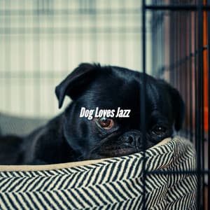Dog Loves Jazz - Jazz for Dogs