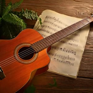 Gentle Rest Notes: Guitar Music for Relaxation - The Guitar Grinders