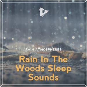 Rain In The Woods Sleep Sounds - Rain Atmospheres