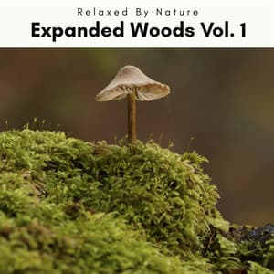 1 Expanded Wood Vol. 1 - Natural Woodland Sounds
