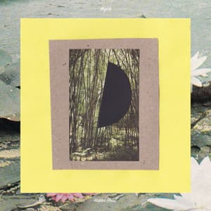 Hidden Forest - Mujo