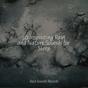 50 Inspiriting Rain and Nature Sounds for Sleep - Rain For Deep Sleep