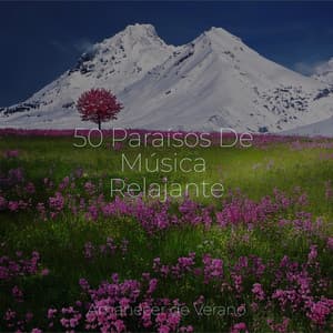 50 Paraísos De Música Relajante - Piano Suave Relajante