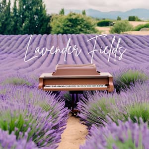 Lavender Fields: Smooth Piano Collection - Easy Listening Piano