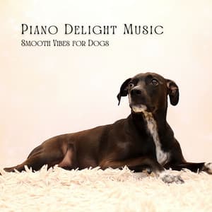 Piano Delight Music: Smooth Vibes for Dogs - Worship Music Piano