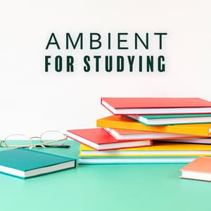 Ambient for Studying - Marion Francois