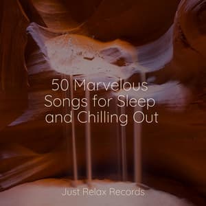 50 Marvelous Songs for Sleep and Chilling Out - Sonidos de la Naturaleza Relajacion