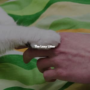 The Lazy Litter - Wine Bar Music