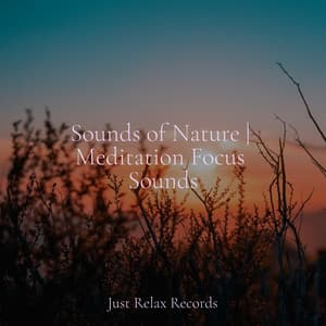 Sounds of Nature | Meditation Focus Sounds - Sonidos De Lluvia y Tormentas