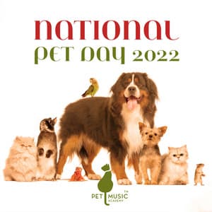 National Pet Day 2022 - Bhuvi Ananda