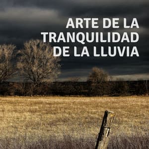 Arte De La Tranquilidad De La Lluvia - Sonidos De Agua
