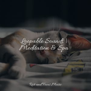 Loopable Sounds | Meditation & Spa - Meditation Relaxation Club
