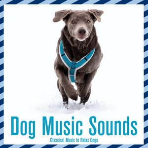Dog Music Sounds: Classical Music to Relax Dogs - Relaxmydog
