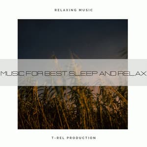 Music For Best Sleep And Relax - Sleep & Dream Music Academy