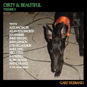 Dirty & Beautiful, Vol. 2 - Gary Husband