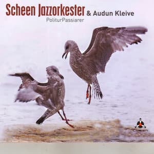 PoliturPassiarer - Scheen Jazzorkester