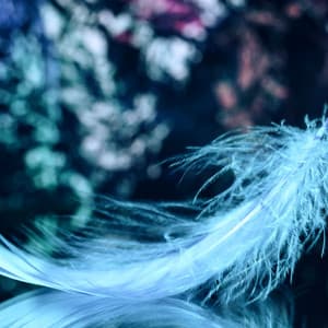 Angelic Reiki Frequencies 1111 + 999, Celestial Sleep Music, Embrace Pure Light and Unconditional Love, Heal and Renew - Heal Frequencies