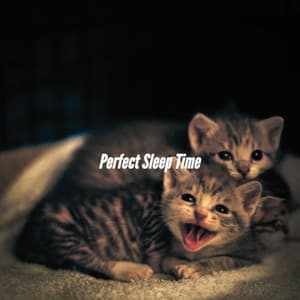 Perfect Sleep Time - Jazz For Sleeping