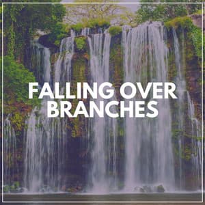 Falling over Branches - Soothing Waterfalls