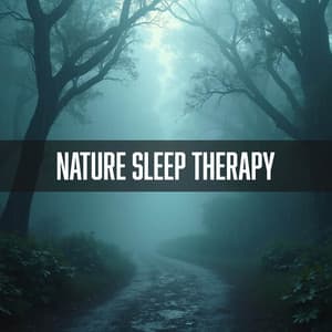 Soft Showers: Tranquil Light Rain for Peaceful Moments - Nature Sleep Therapy