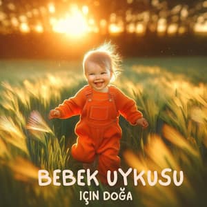 Bebek Uykusu Için Doğa: Küçük Çocuğunuzu Uyutacak Yumuşak Doğa Sesleri - Rahatla Zamanı Vaha