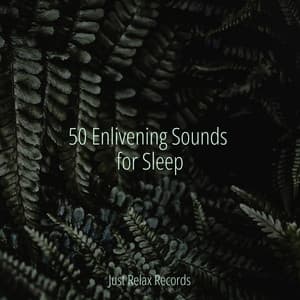 50 Enlivening Sounds for Sleep - Pro Sound Effects Library