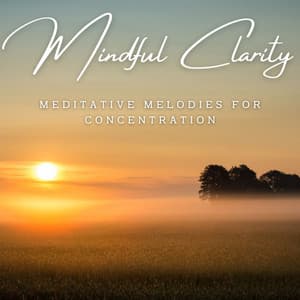 Mindful Clarity: Meditative Melodies for Concentration - Control Your Breath