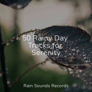 50 Rainy Day Tracks for Serenity - Avslappning Sound