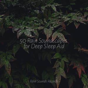 50 Rain Soundscapes for Deep Sleep Aid - Thunderstorm Sound Bank
