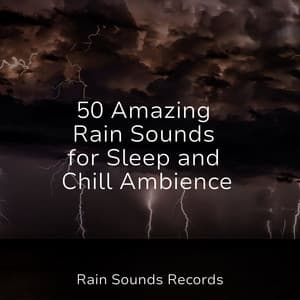 50 Amazing Rain Sounds for Sleep and Chill Ambience - Sonidos De Lluvia y Tormentas