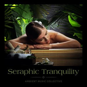 Seraphic Tranquility: Calm Music for Spa - Ambient Music Collective