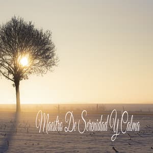Maestro De Serenidad Y Calma - Música Instrumental Maestro