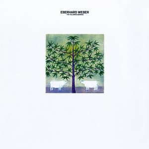 The Following Morning - Eberhard Weber