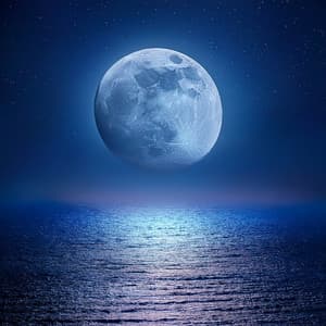 Noche Silenciosa: Melodías Relajantes Para La Calma Nocturna - Musica para Restaurantes De Lujo