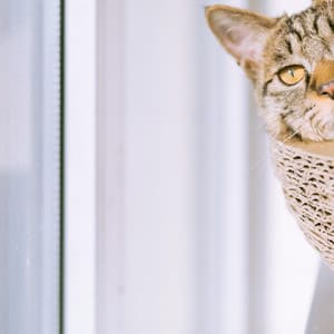 50 White Noise Sounds: Relax Harmony - White Noise for Babies