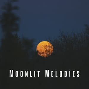 Moonlit Melodies: Dreamy Sleep Music - Dreamtime Music