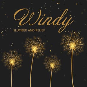 Windy Slumber and Relief - Deep Sleep Music Maestro