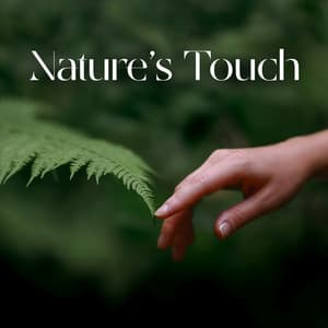 Nature’s Touch: Natural Calm, Forest & Waterfall Sounds | Deep Relax, Quiet Meditation, Inner Peace - Nature Vox