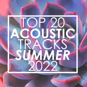Top 20 Acoustic Tracks Summer 2022 - Guitar Tribute Players