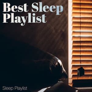 Best Sleep Playlist - Sleep Playlist