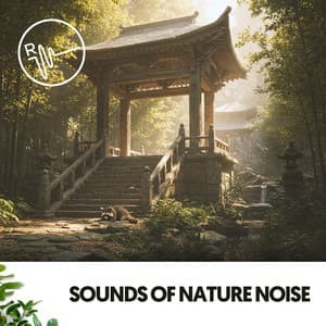 Sounds of Nature Noise: Melodies of Water - Música Relajante Para Leer