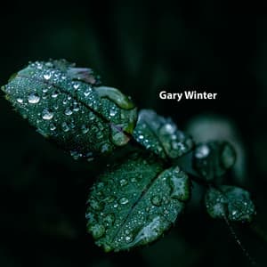 Peace Touched My Skin - Gary Winter