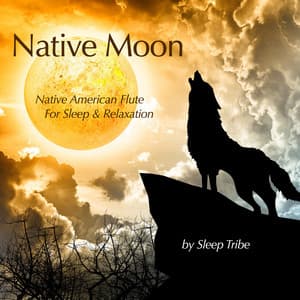 Native Moon - Sleep Tribe