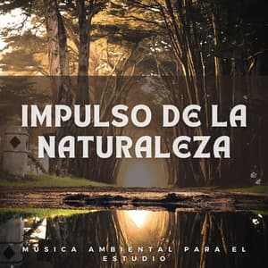 Impulso de la Naturaleza: Música Ambiental para el Estudio - Naturaleza Ruido