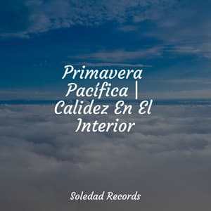 Primavera Pacífica | Calidez En El Interior - Academia de Música para Massagem Relaxamento