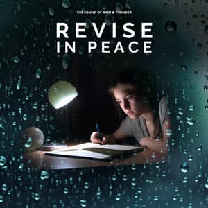 Revise in Peace - The Sound of Rain & Thunder