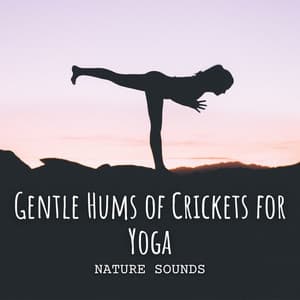 Nature Sounds: Gentle Hums of Crickets for Yoga - Nature Music Nature Songs