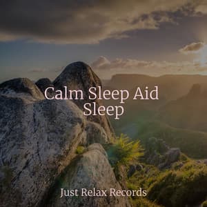 Calm Sleep Aid Sleep - Easy Sleep Music