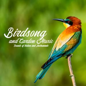 Birdsong and Garden Music, Sounds of Nature and Instruments - Garden Music Academy